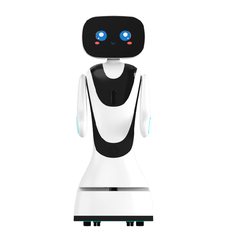 Reception Service Robot